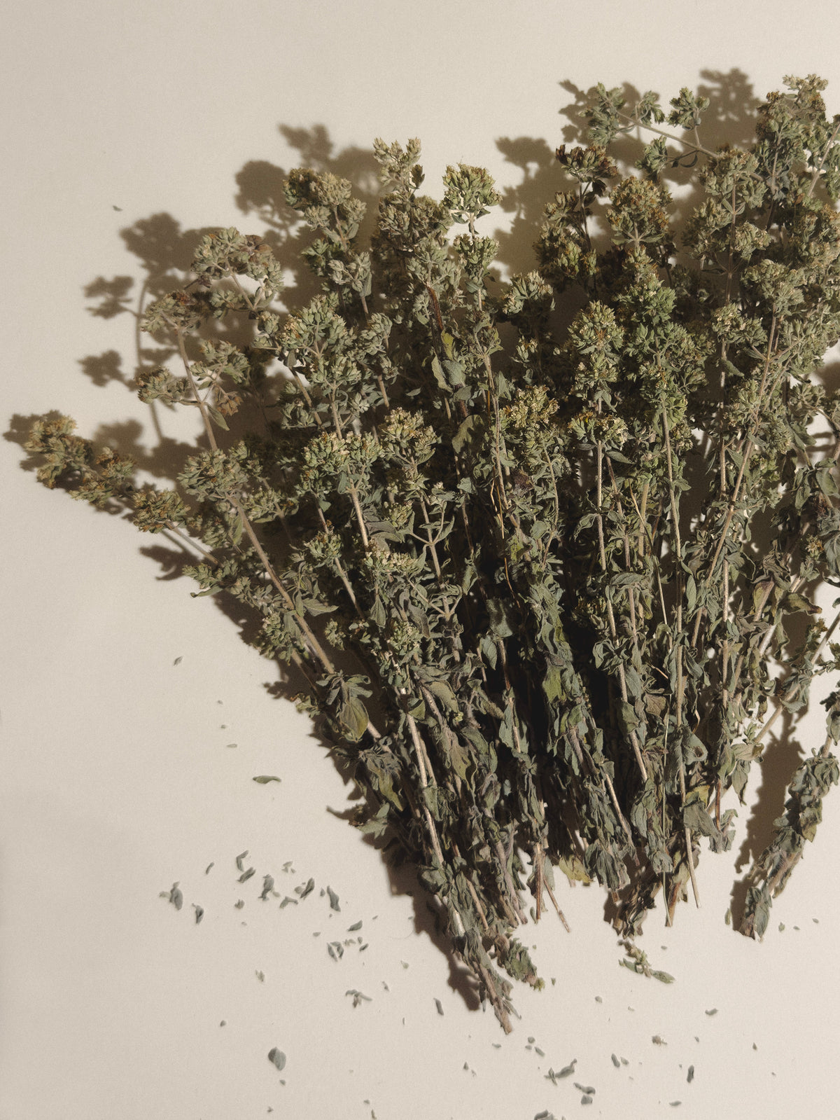 A bundle of dried green herbs or botanical stems arranged on a plain off-white background.